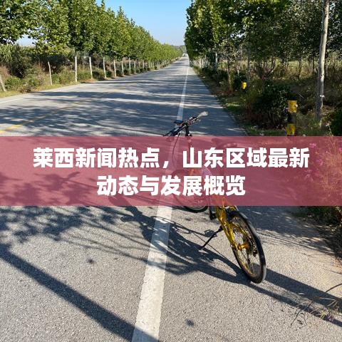 莱西新闻热点，山东区域最新动态与发展概览