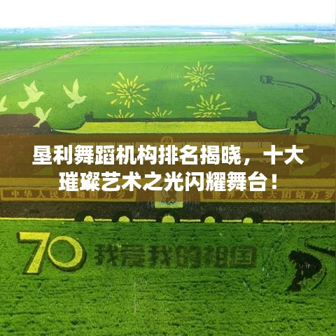 垦利舞蹈机构排名揭晓，十大璀璨艺术之光闪耀舞台！