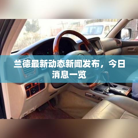 还淳反素