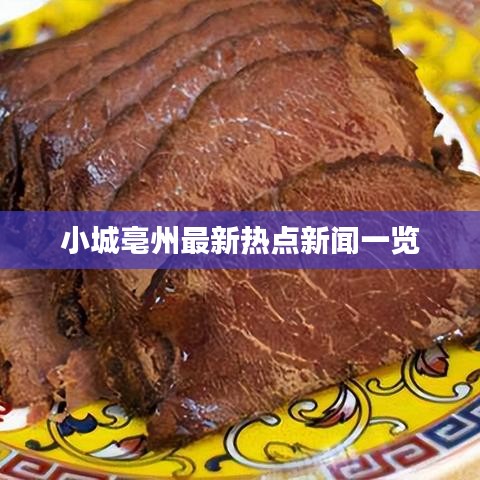 德才兼备