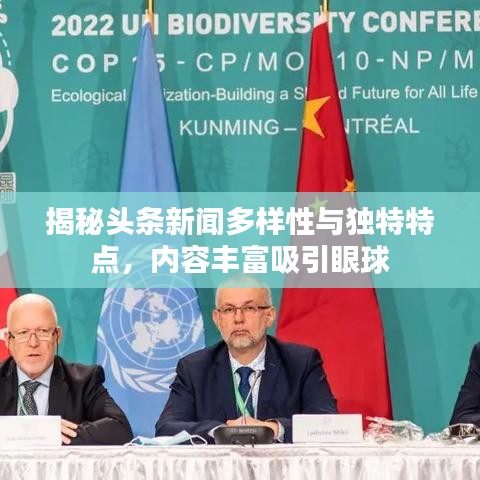 揭秘头条新闻多样性与独特特点，内容丰富吸引眼球