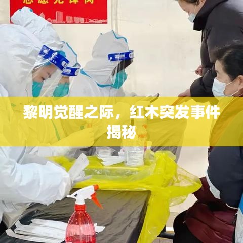 手不释卷