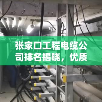 公司简介 第9页