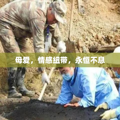 尘土飞扬