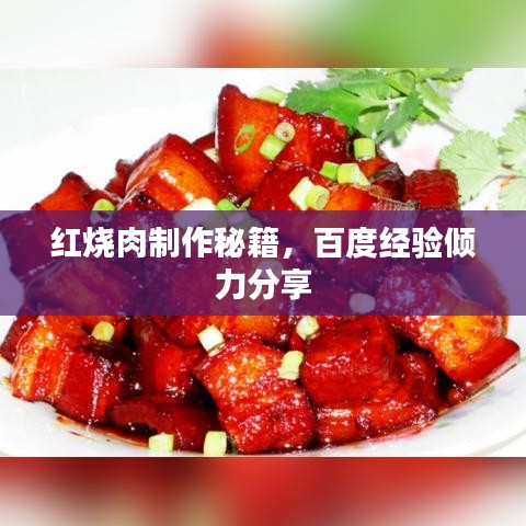 红烧肉制作秘籍，百度经验倾力分享