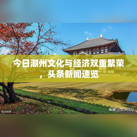 观往知来