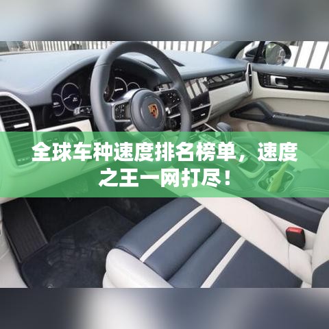 虫言鸟迹