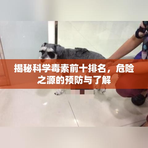 揭秘科学毒素前十排名，危险之源的预防与了解