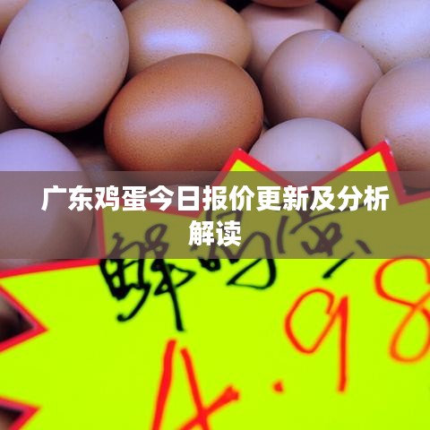 广东鸡蛋今日报价更新及分析解读