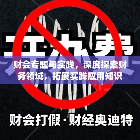 财会专题与实践，深度探索财务领域，拓展实践应用知识
