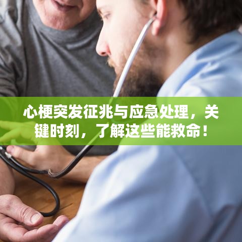 资质证书 第5页