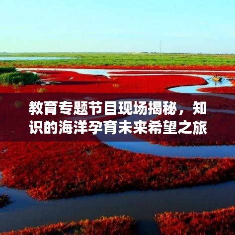 2025年5月3日
