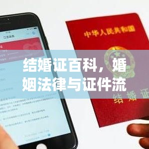 结婚证百科，婚姻法律与证件流程的全面解读
