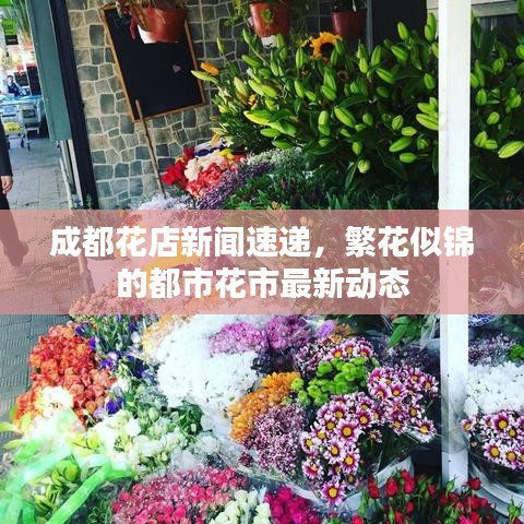 成都花店新闻速递，繁花似锦的都市花市最新动态