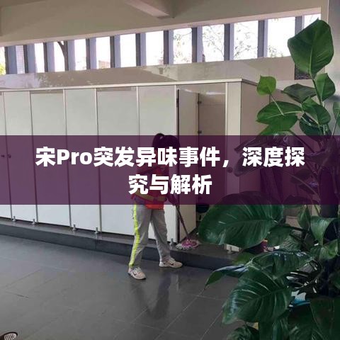 宋Pro突发异味事件，深度探究与解析
