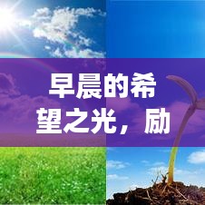 案例展示 第5页
