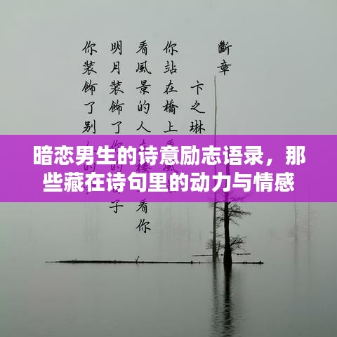 在线留言 第4页