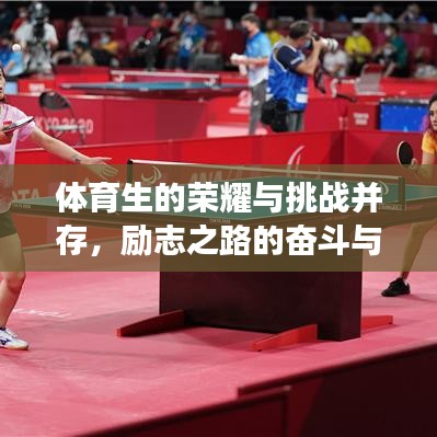 体育生的荣耀与挑战并存，励志之路的奋斗与成长故事