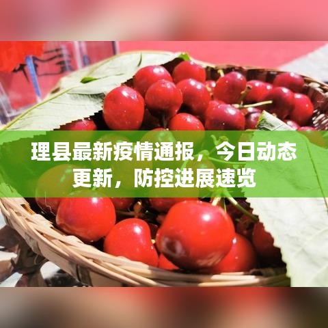 理县最新疫情通报，今日动态更新，防控进展速览