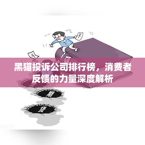黑猫投诉公司排行榜，消费者反馈的力量深度解析