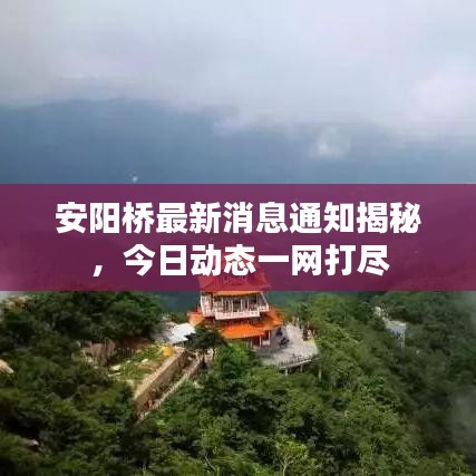 安阳桥最新消息通知揭秘，今日动态一网打尽