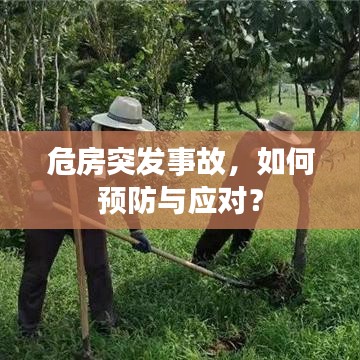 危房突发事故，如何预防与应对？