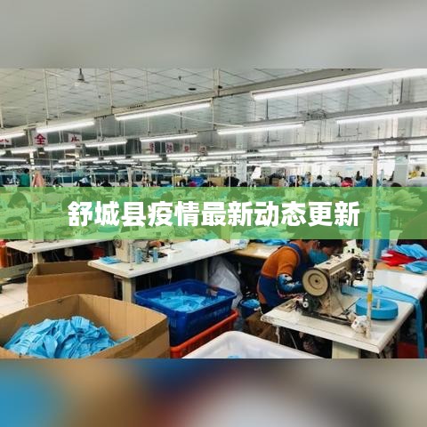 舒城县疫情最新动态更新