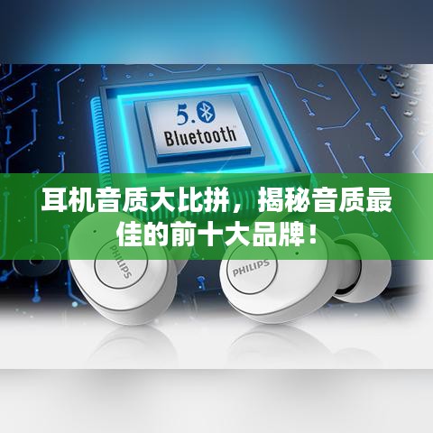 案例展示 第3页