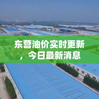 东营油价实时更新，今日最新消息