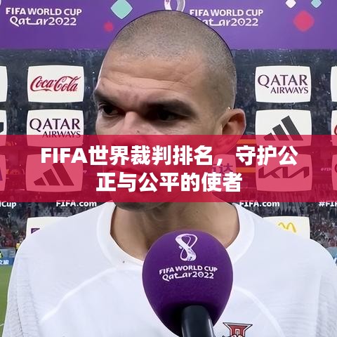 FIFA世界裁判排名，守护公正与公平的使者