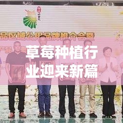 草莓种植行业迎来新篇章，最新种植技术揭秘，行业资讯抢先看