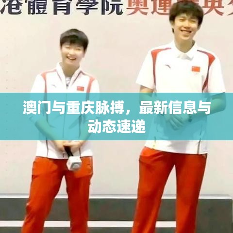 澳门与重庆脉搏，最新信息与动态速递