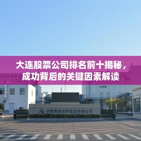 大连股票公司排名前十揭秘，成功背后的关键因素解读