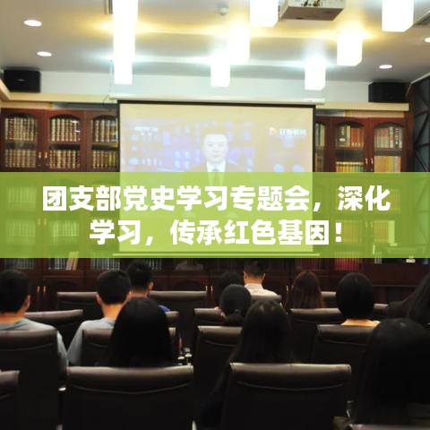 团支部党史学习专题会，深化学习，传承红色基因！