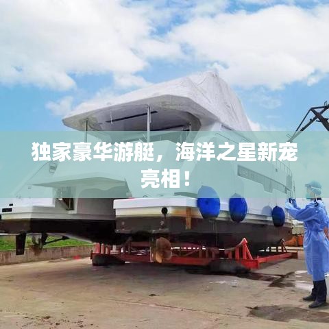 独家豪华游艇，海洋之星新宠亮相！