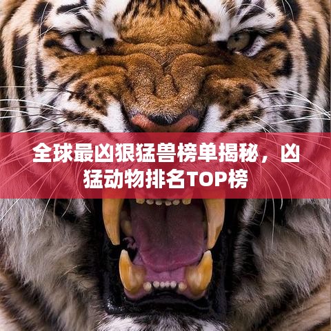 2025年6月8日
