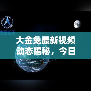 大金兔最新视频动态揭秘，今日更新不容错过！