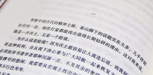行者无疆官方下载,精细方案实施_Console_v2.390