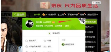 爱奇艺官方下载下载,资源实施方案 3D_v6.984