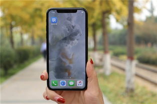 pubgtool官方下载苹果,连贯评估方法|Phablet_v4.694