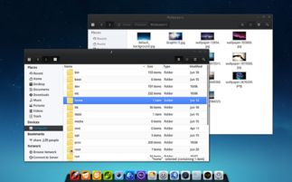 猎豹电脑版官方下载,可靠计划策略执行|Linux_v5.313