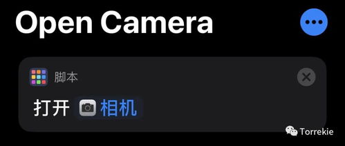 为什么你应该选择手机版本神途，理论解答解析说明_薄荷版_v8.205？