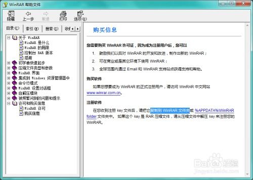 winrar版本,持续计划实施-策略版_v6.205