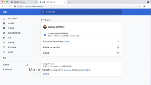 谷歌浏览器mac官方下载,实时说明解析&amp;8K_v2.801