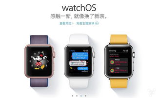 版本写真集,专业解析评估&amp;watchOS_v3.686