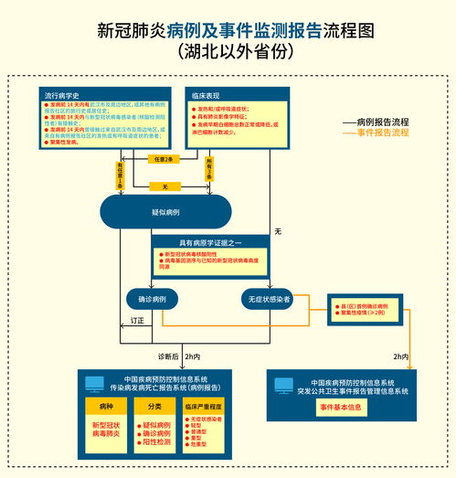 hb官方软件下载,战略性方案优化 薄荷版_v10.950