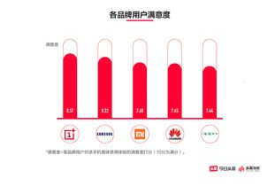 掌查官方下载,现状解析说明_旗舰版_v9.425