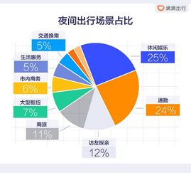 滴滴 历史版本，可靠策略分析_超值版_v4.207——出行领域的标杆产品