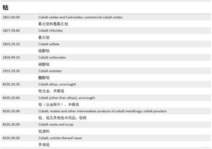 下载支付宝最新版版本,决策资料解释定义_升级版_v2.300