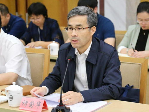 大白菜官方下载,实践解答解释定义_pro_v7.904